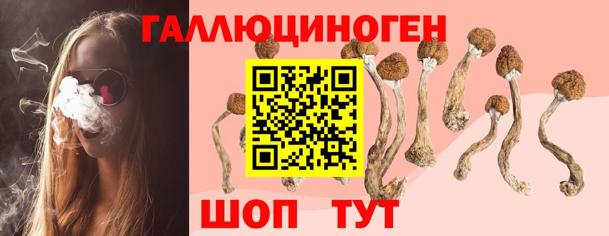Галлюциногенные грибы Psilocybine cubensis  Вход с VPN  Псилоцибиновые грибы Psilocybine cubensis  Ханты-Мансийск 
